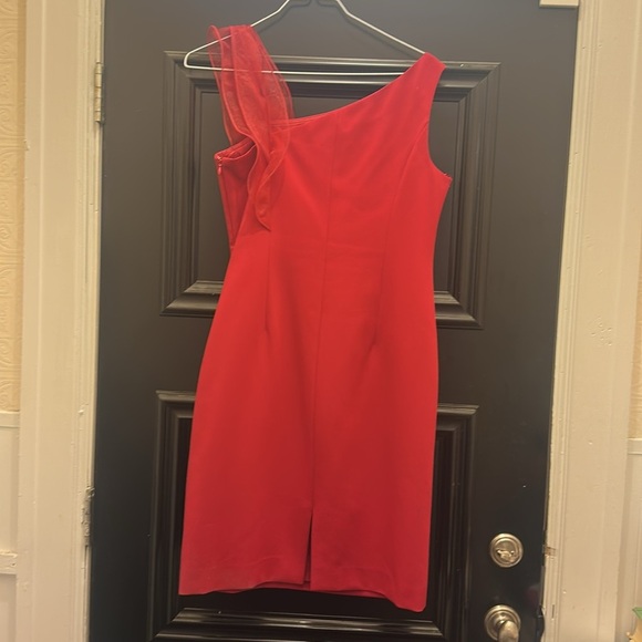 Ricky Freeman for Teri Jon Red Wedding Guest Dress w/ Organza Ruffle | Size 10 - Picture 4 of 5